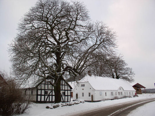 Winter auf dem Taastrupgaard
